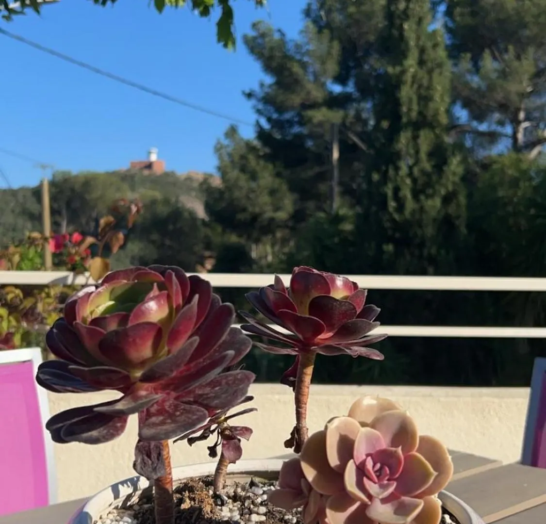 Hotel Auberge Provençale Saint-Raphaël